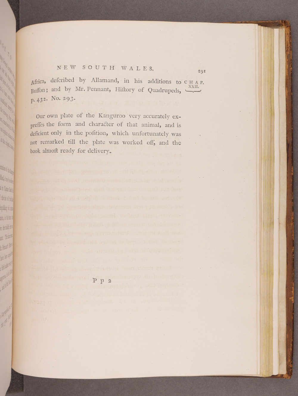 Page 291